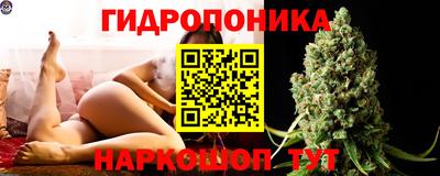 трава Новодвинск