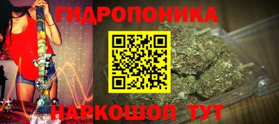 трава Новодвинск