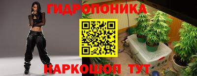 трава Новодвинск