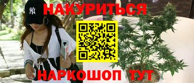 трава Новодвинск